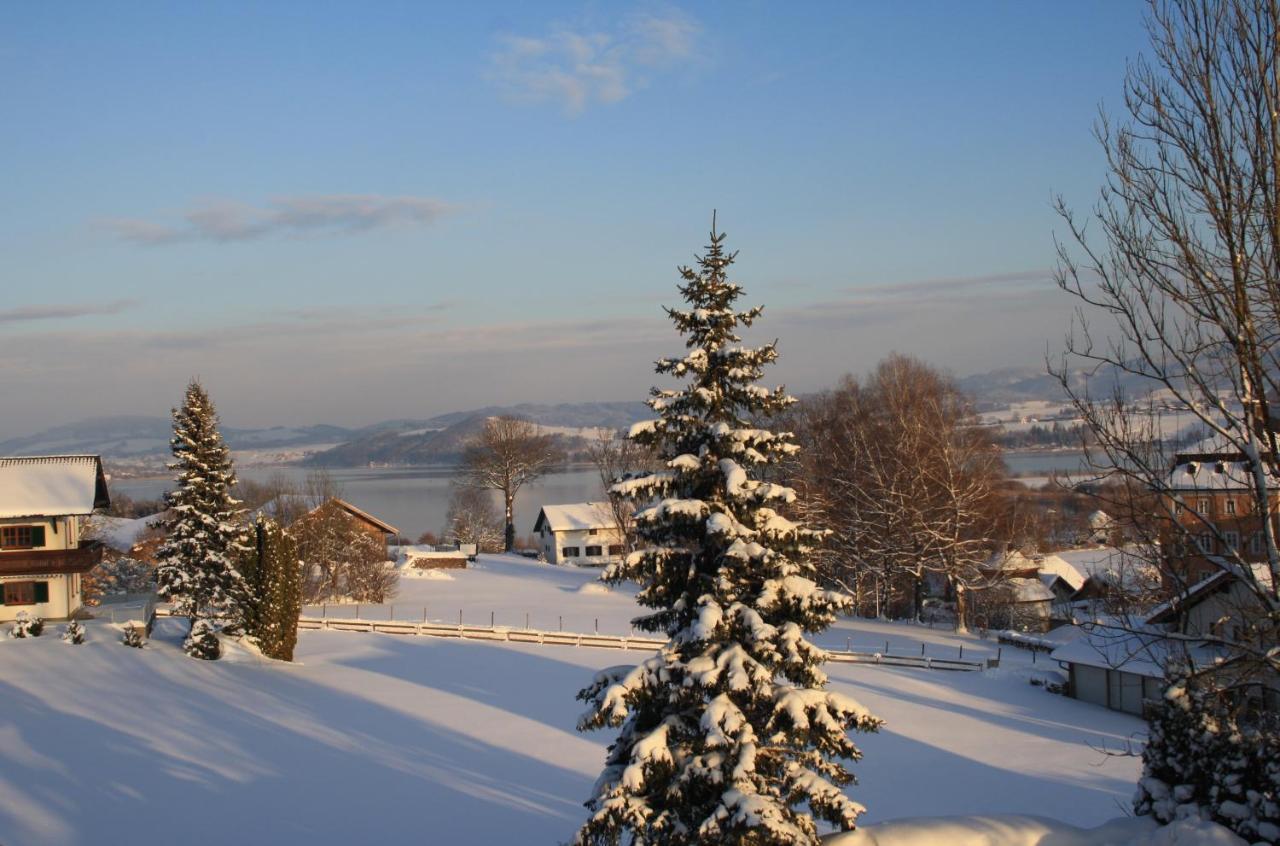 Gasthof Zur Seeburg Seekirchen am Wallersee Dış mekan fotoğraf